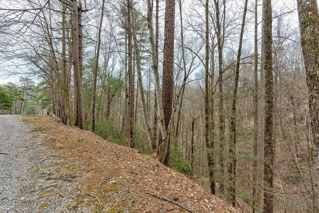 13 Sunset Road Sevierville, TN 37862 - Photo 4 of 27 Gallery Image 4