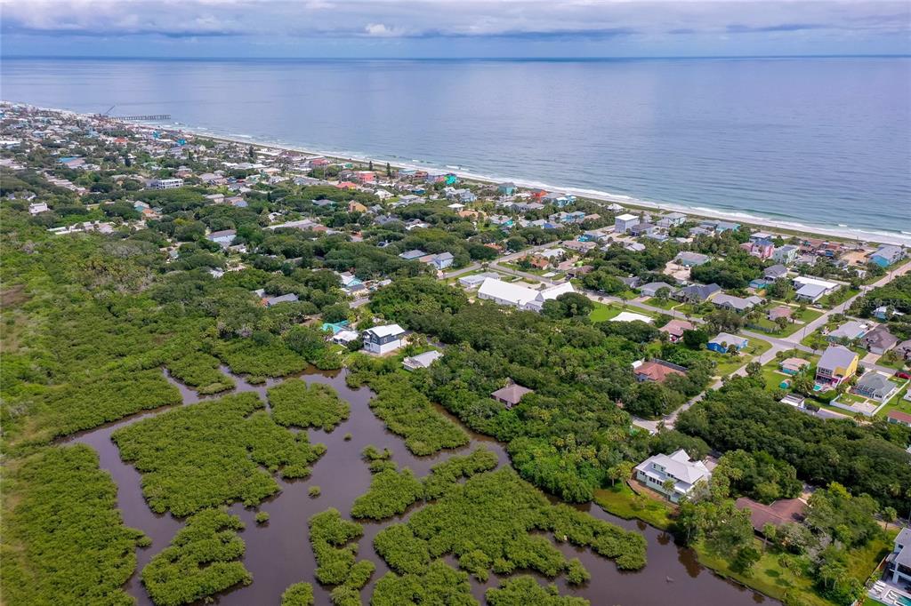 Sflagler Flagler Beach, FL 32136 - Photo 10 of 29 a view of a yard with plants