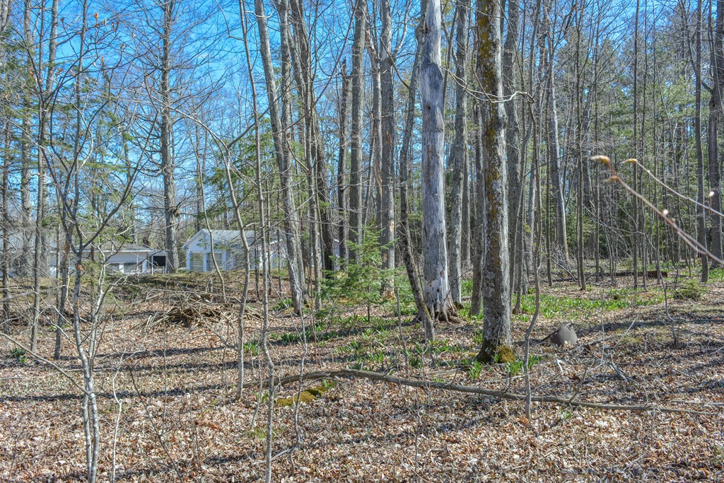 12397 Garrett Bay Road Ellison Bay, WI 54210 - Photo 47 of 48 Gallery Image 47