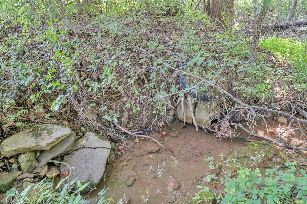 0 Healing Springs Road Blue Ridge, VA 24064 - Photo 2 of 6 a backyard of a house with lots of green space