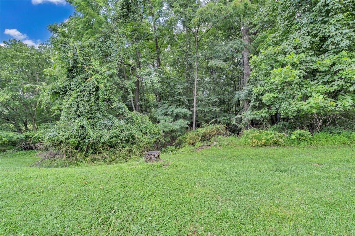 0 Healing Springs Road Blue Ridge, VA 24064 - Photo 3 of 6 a view of a lush green space