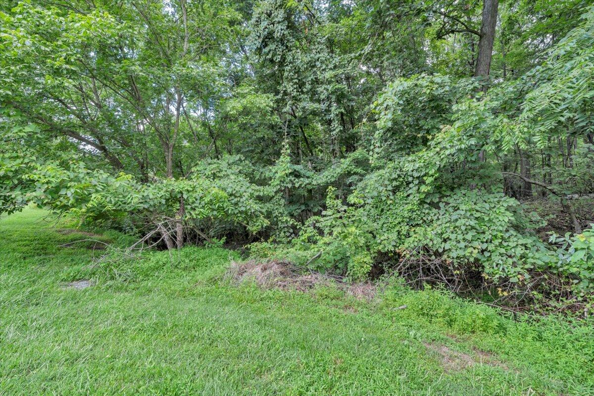 0 Healing Springs Road Blue Ridge, VA 24064 - Photo 4 of 6 a view of a lush green forest