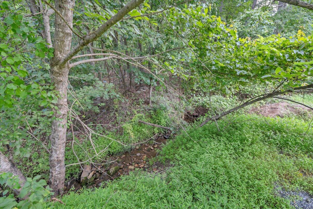 0 Healing Springs Road Blue Ridge, VA 24064 - Photo 5 of 6 a backyard of a house with lots of green space and trees all around