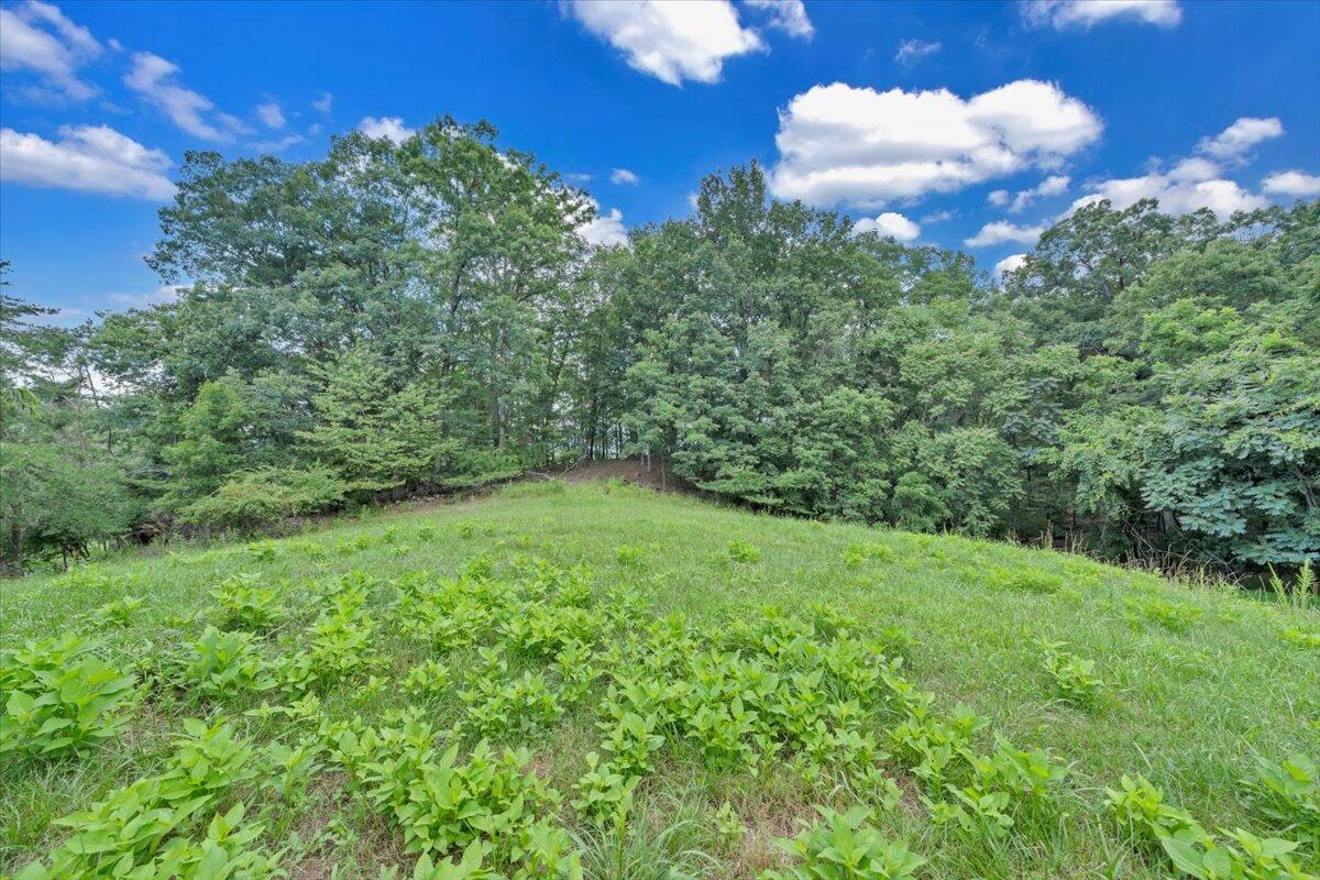 0 Healing Springs Road Blue Ridge, VA 24064 - Photo 6 of 6 a view of a green yard