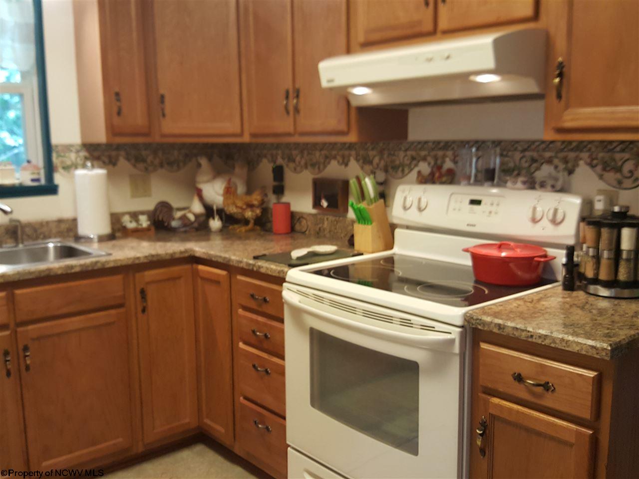 212 Ridgeview Lane Buckhannon, WV 26201 - Photo 6 of 16 Gallery Image 6