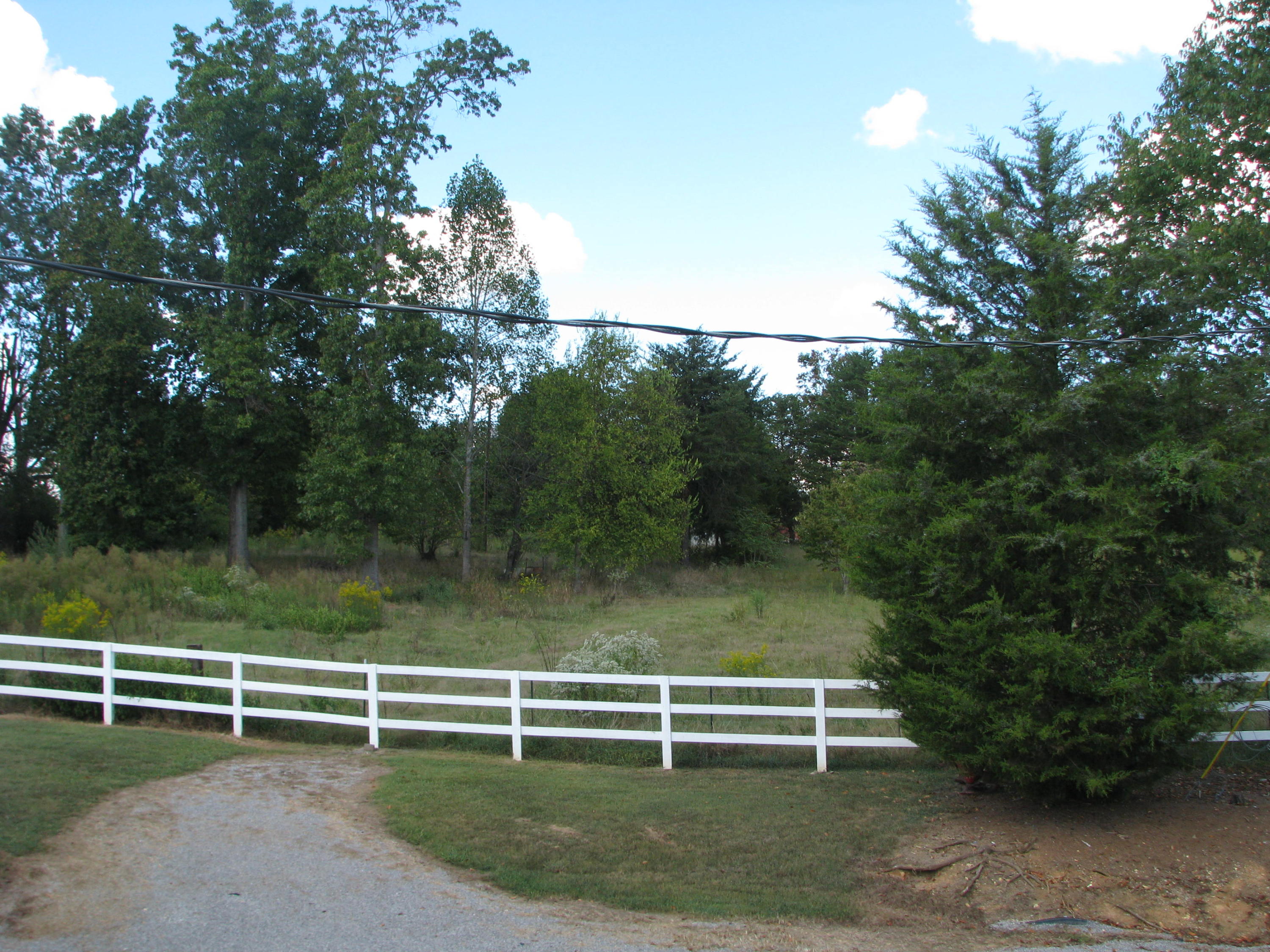 319 Ogle Road Seymour, TN 37865 - Photo 3 of 3 IMG_8839