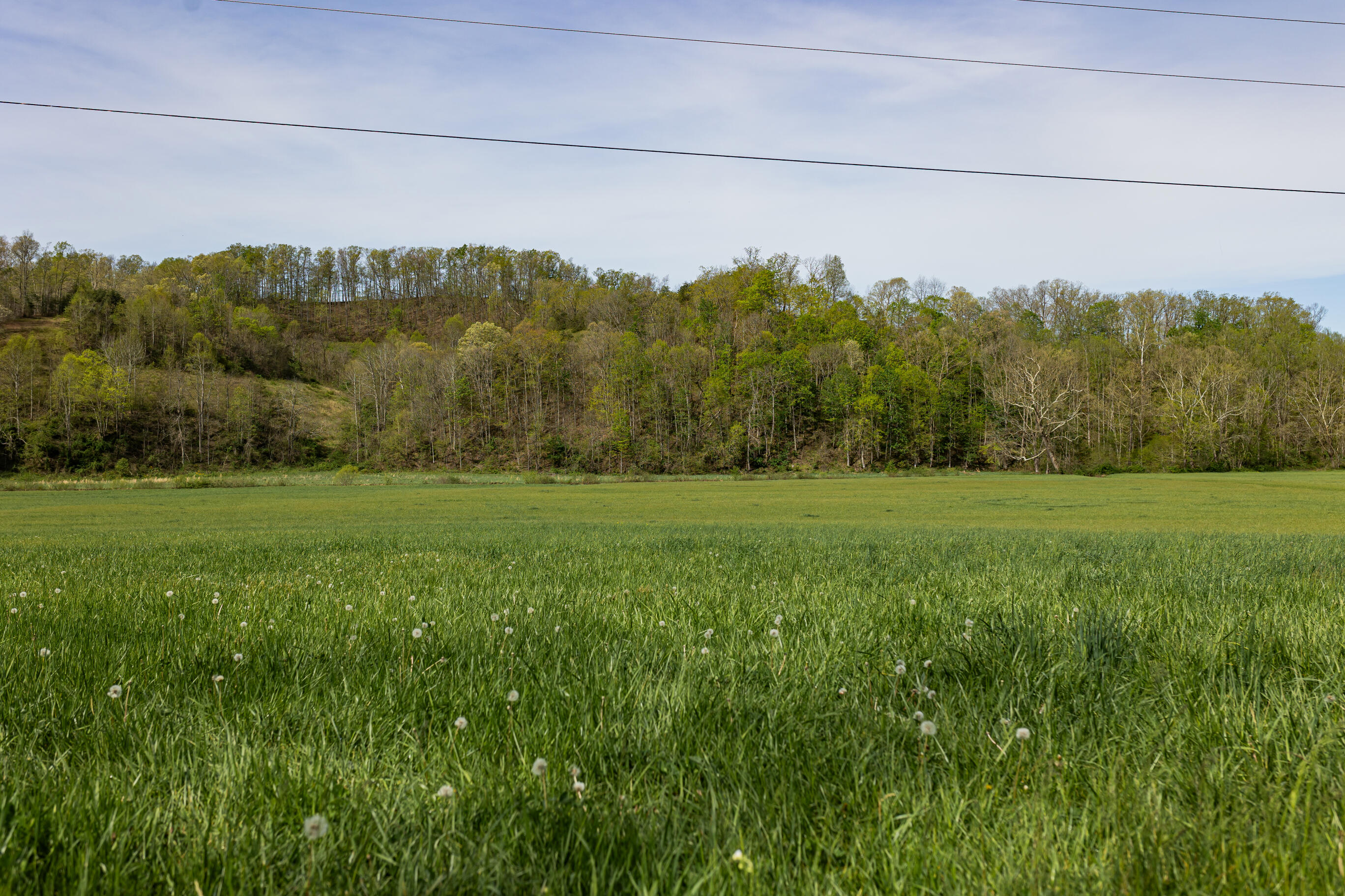 534 Lower Gilmore Road Campton, KY 41301 - Photo 35 of 80 FO7A1580