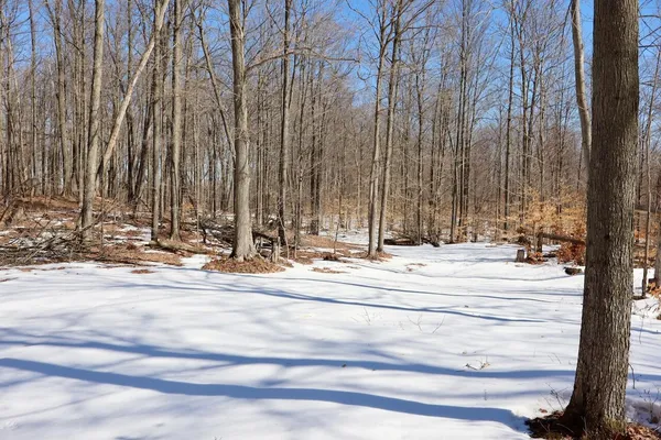$1,885,000 | 10478 Wampum Trail, Evart, MI 49631