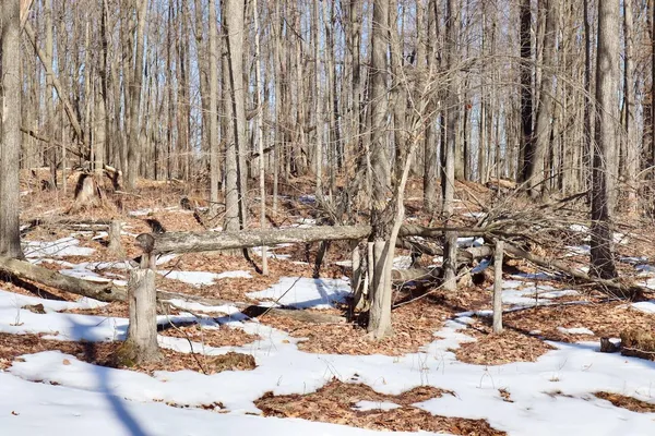 $1,885,000 | 10478 Wampum Trail, Evart, MI 49631