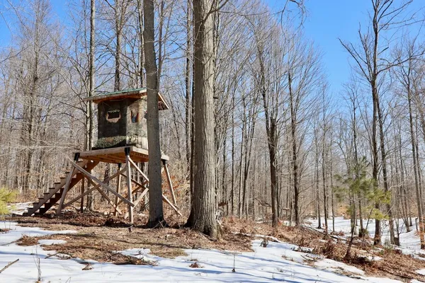 $1,885,000 | 10478 Wampum Trail, Evart, MI 49631