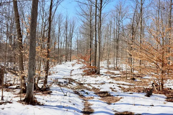 $1,885,000 | 10478 Wampum Trail, Evart, MI 49631