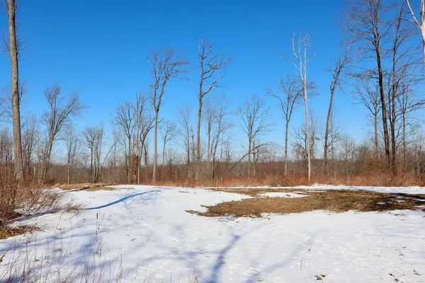 $1,885,000 | 10478 Wampum Trail, Evart, MI 49631