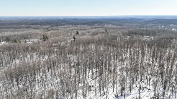 $1,885,000 | 10478 Wampum Trail, Evart, MI 49631