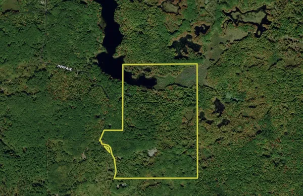 $1,885,000 | 10478 Wampum Trail, Evart, MI 49631
