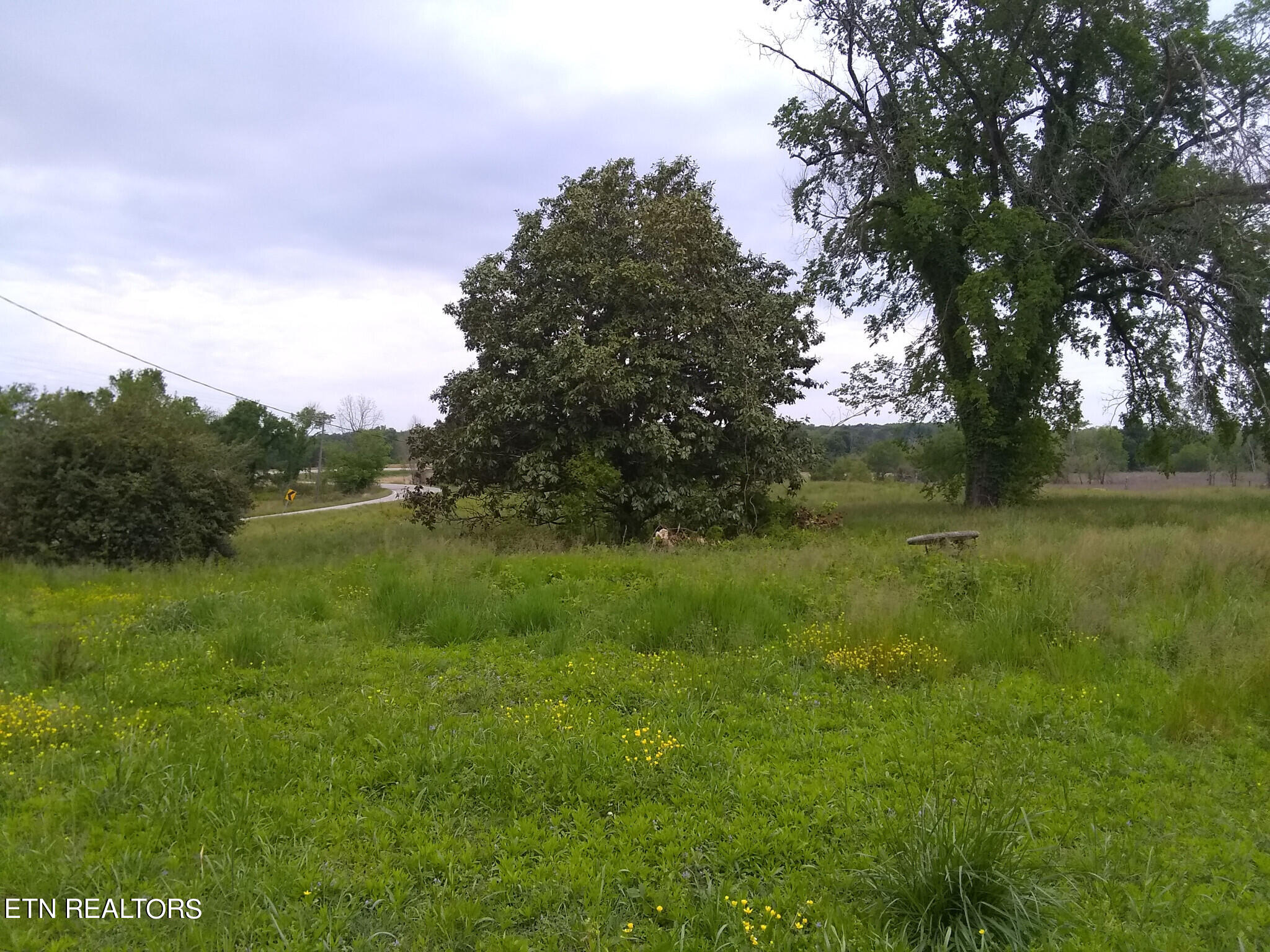 1) 37056-6538140e21ad2