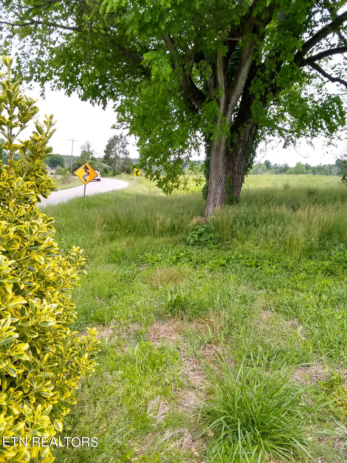 4480 River Road Decatur, TN 37322 - Photo 4 of 8 4) 37056-65381416bd652