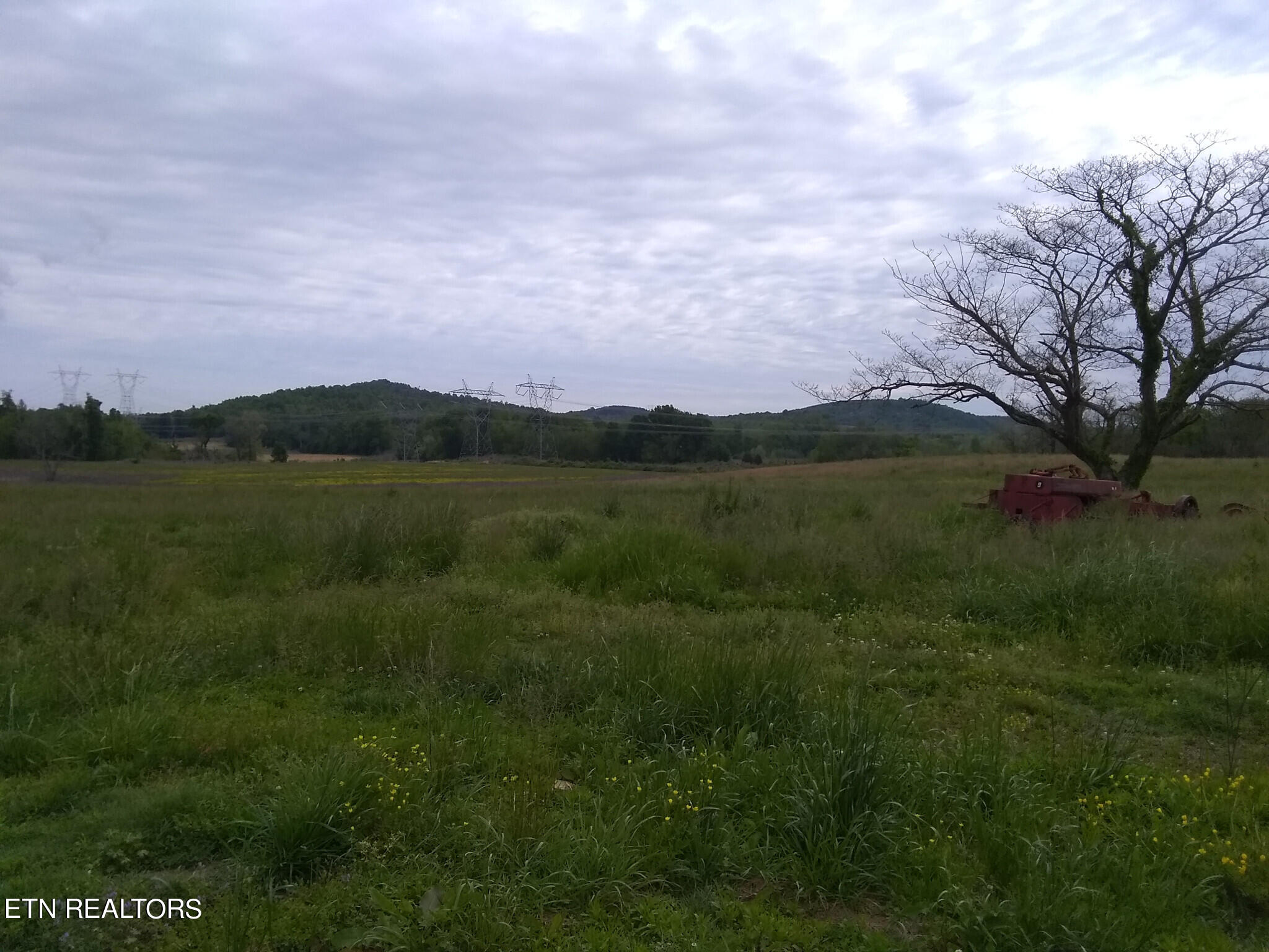 4480 River Road Decatur, TN 37322 - Photo 5 of 8 5) 37056-653813f90f9fc