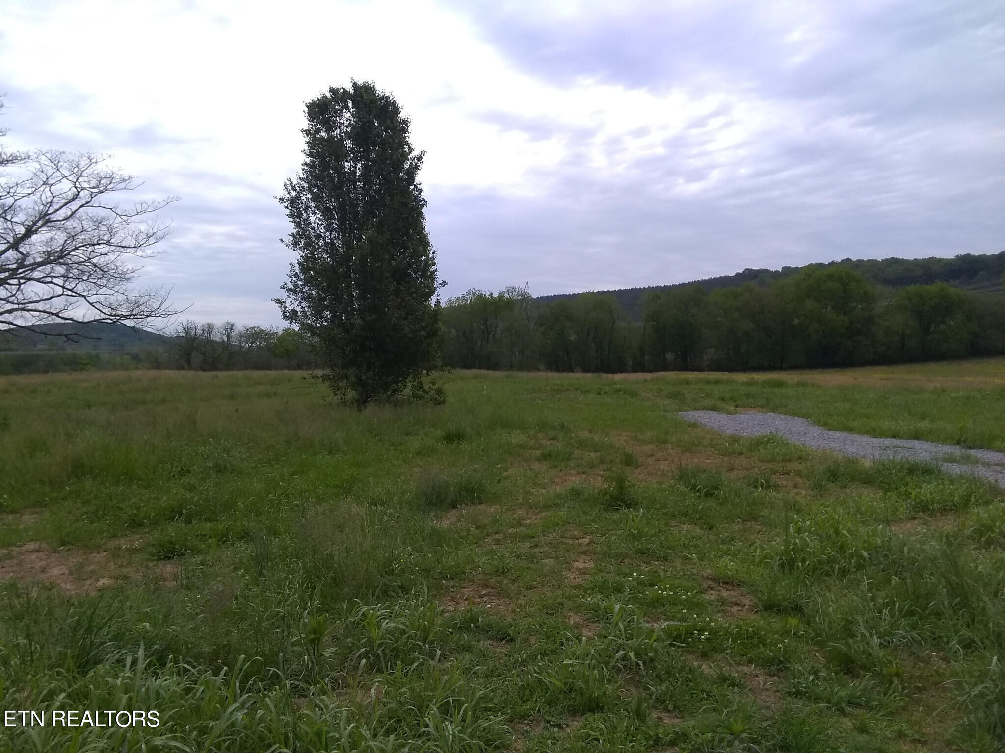 4480 River Road Decatur, TN 37322 - Photo 8 of 8 8) 37056-65381411b1a92