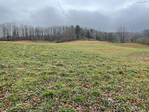 120 Hilmon Road Unicoi, TN 37692 - Photo 1 of 19 Take a look!