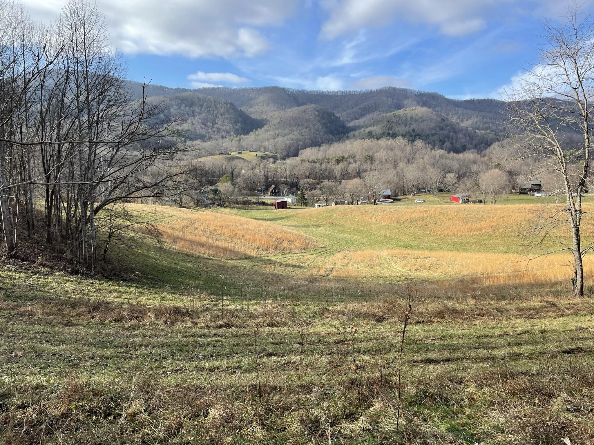 120 Hilmon Road Unicoi, TN 37692 - Photo 11 of 19 IMG_0196