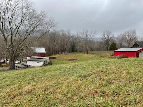 120 Hilmon Road Unicoi, TN 37692 - Photo 3 of 19 IMG_0182 (1)