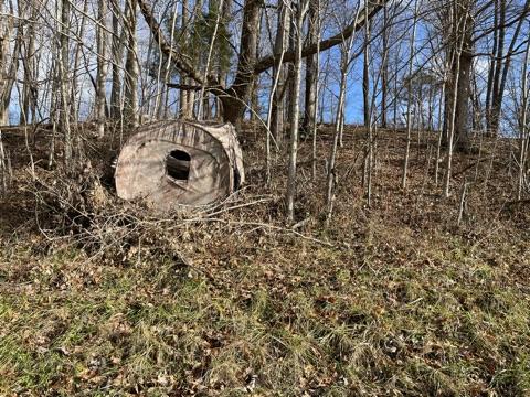 120 Hilmon Road Unicoi, TN 37692 - Photo 5 of 19 IMG_0202