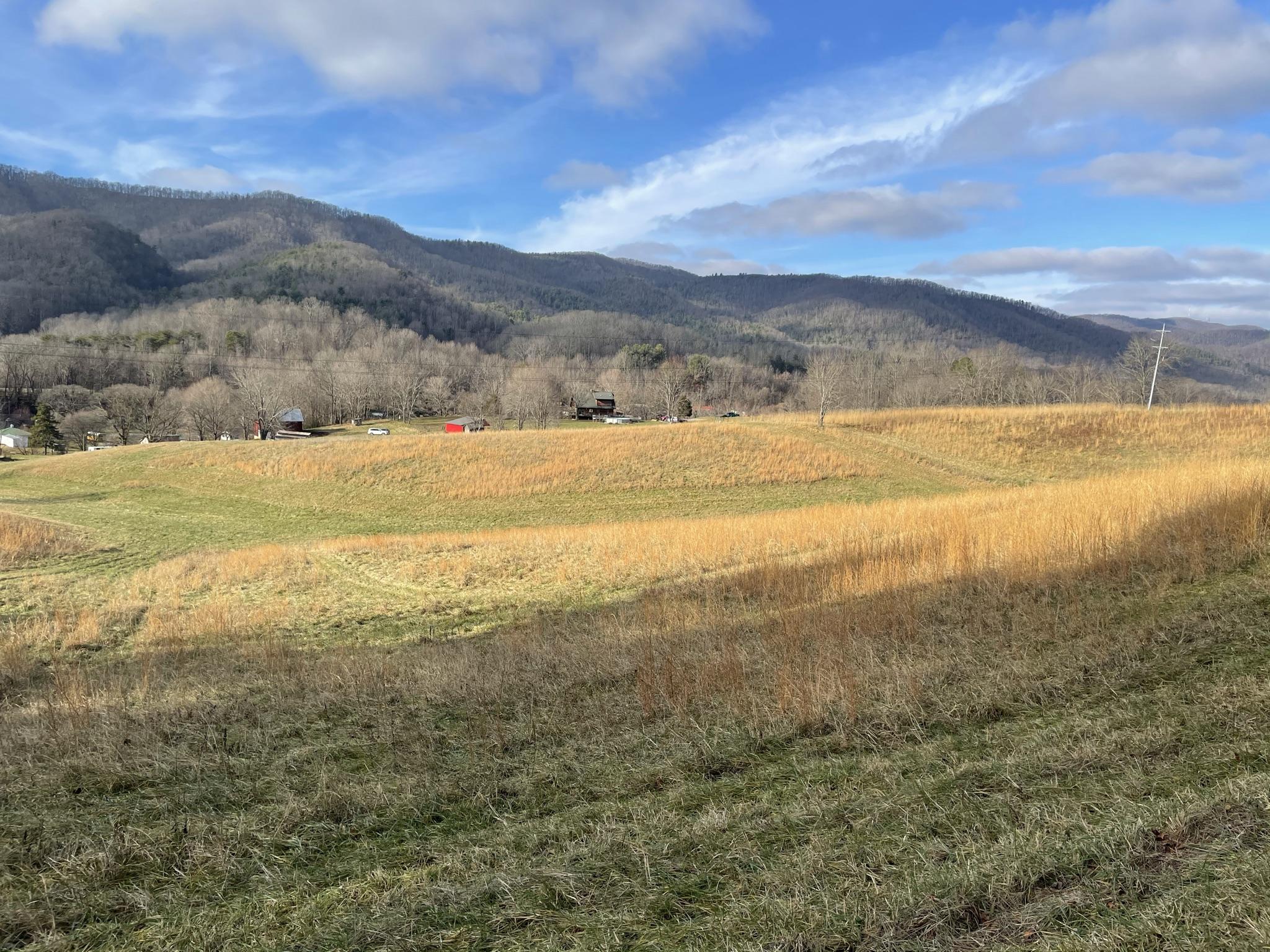 120 Hilmon Road Unicoi, TN 37692 - Photo 7 of 19 IMG_0200