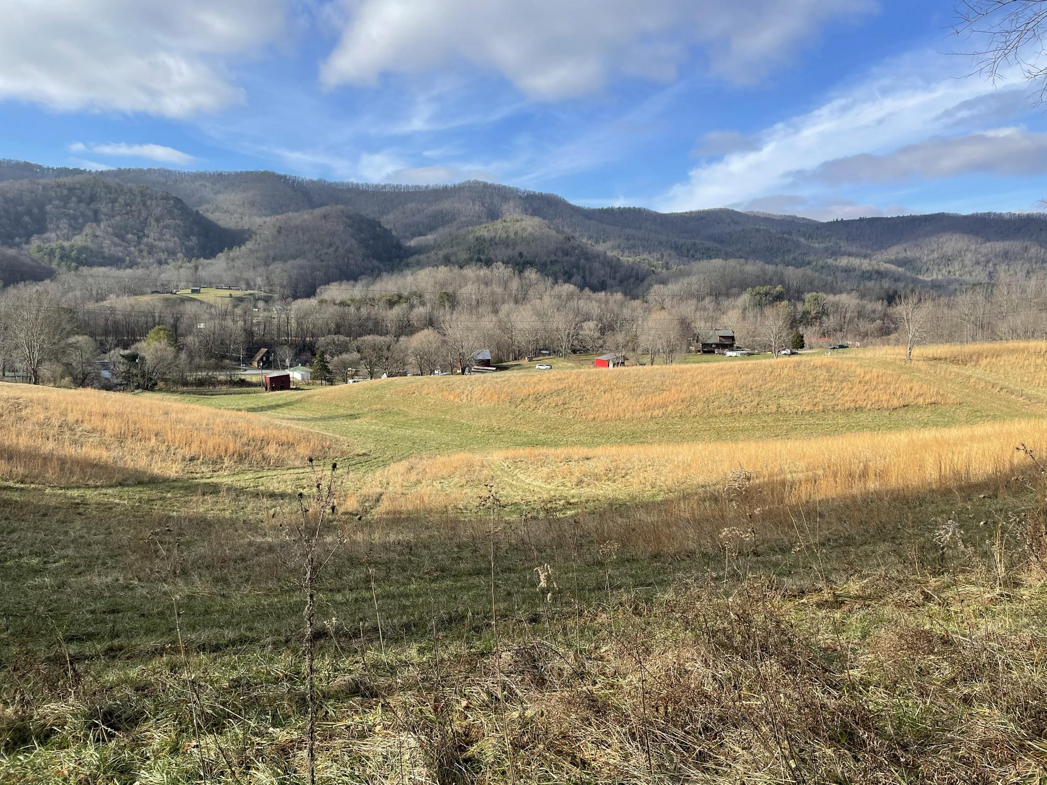 120 Hilmon Road Unicoi, TN 37692 - Photo 8 of 19 IMG_0199