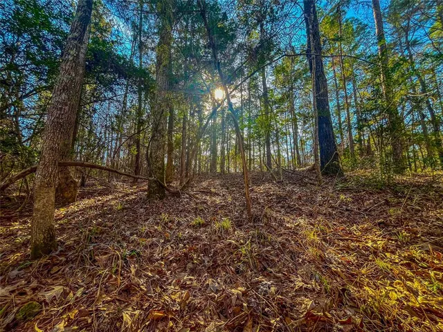 a backyard of a house with lots of plants and large trees