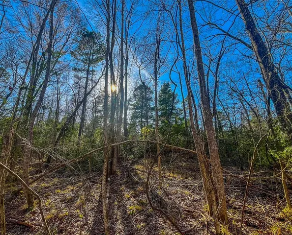 a view of a backyard of the house