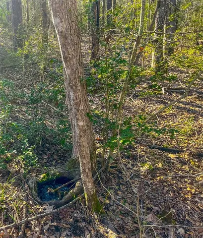 a view of outdoor space and garden
