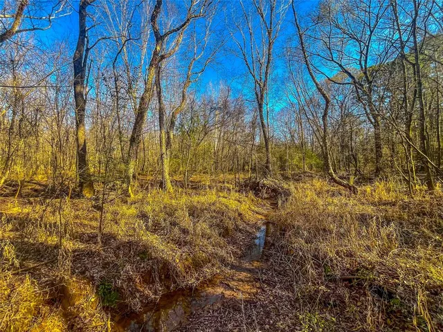 a view of backyard with green space