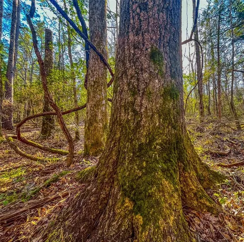 a close view of sink tap