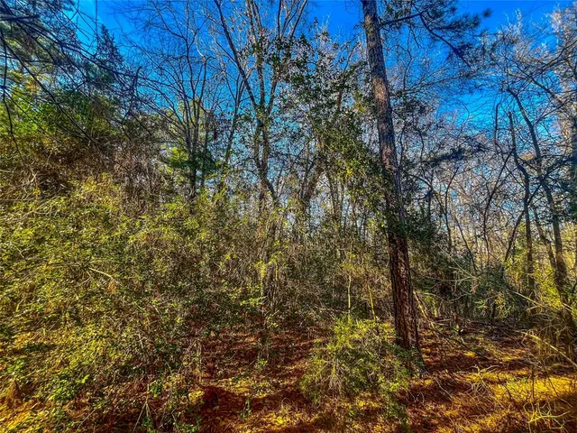 $119,950 | 0 East Private Road 8344, Palestine, TX 75803