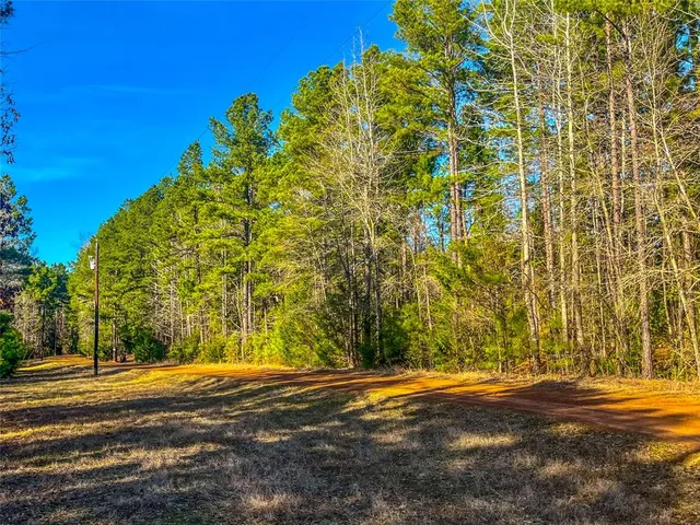 $119,950 | 0 East Private Road 8344, Palestine, TX 75803