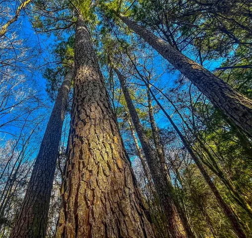 a view of a swimming pool with an outdoor space and seating area