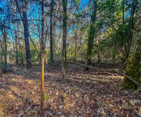 a view of backyard with green space