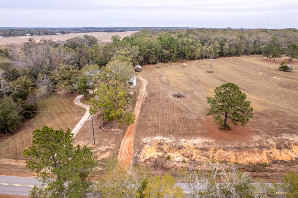 1638 Goose Hollow Road Geneva, AL 36340 - Photo 66 of 74
