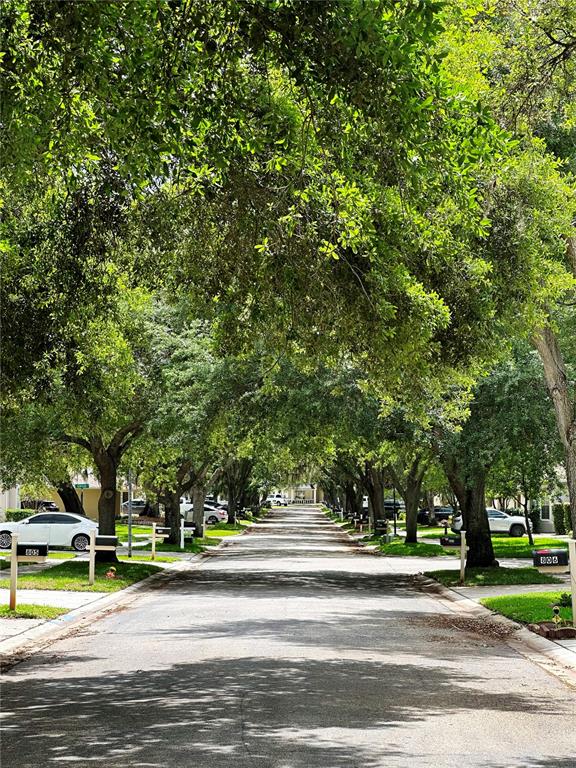 809 Straw Lake Drive Brandon, FL 33510 - Photo 27 of 27