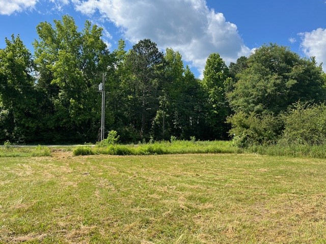 5569 Trail Road Iva, SC 29655 - Photo 2 of 10
