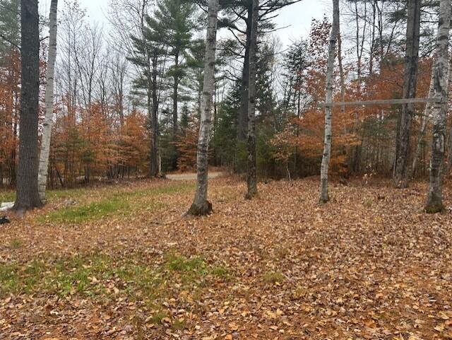 54-1 Glass Hill Road Guilford, ME 04443 - Photo 2 of 7 Joe 110