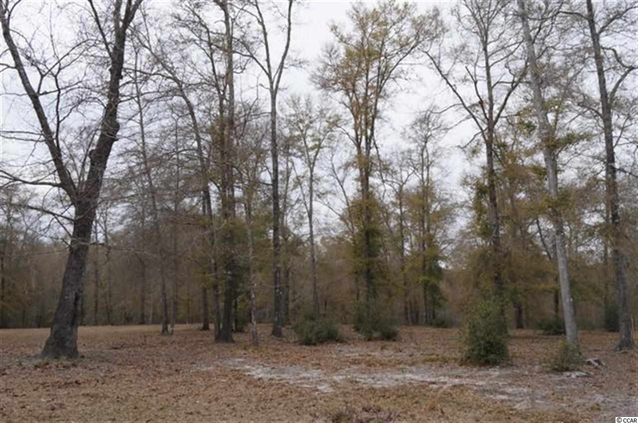 184.60-acres Benton Williams Road Georgetown, SC 29440 - Photo 2 of 14