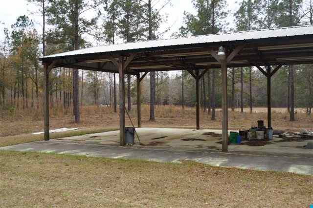 184.60-acres Benton Williams Road Georgetown, SC 29440 - Photo 11 of 14