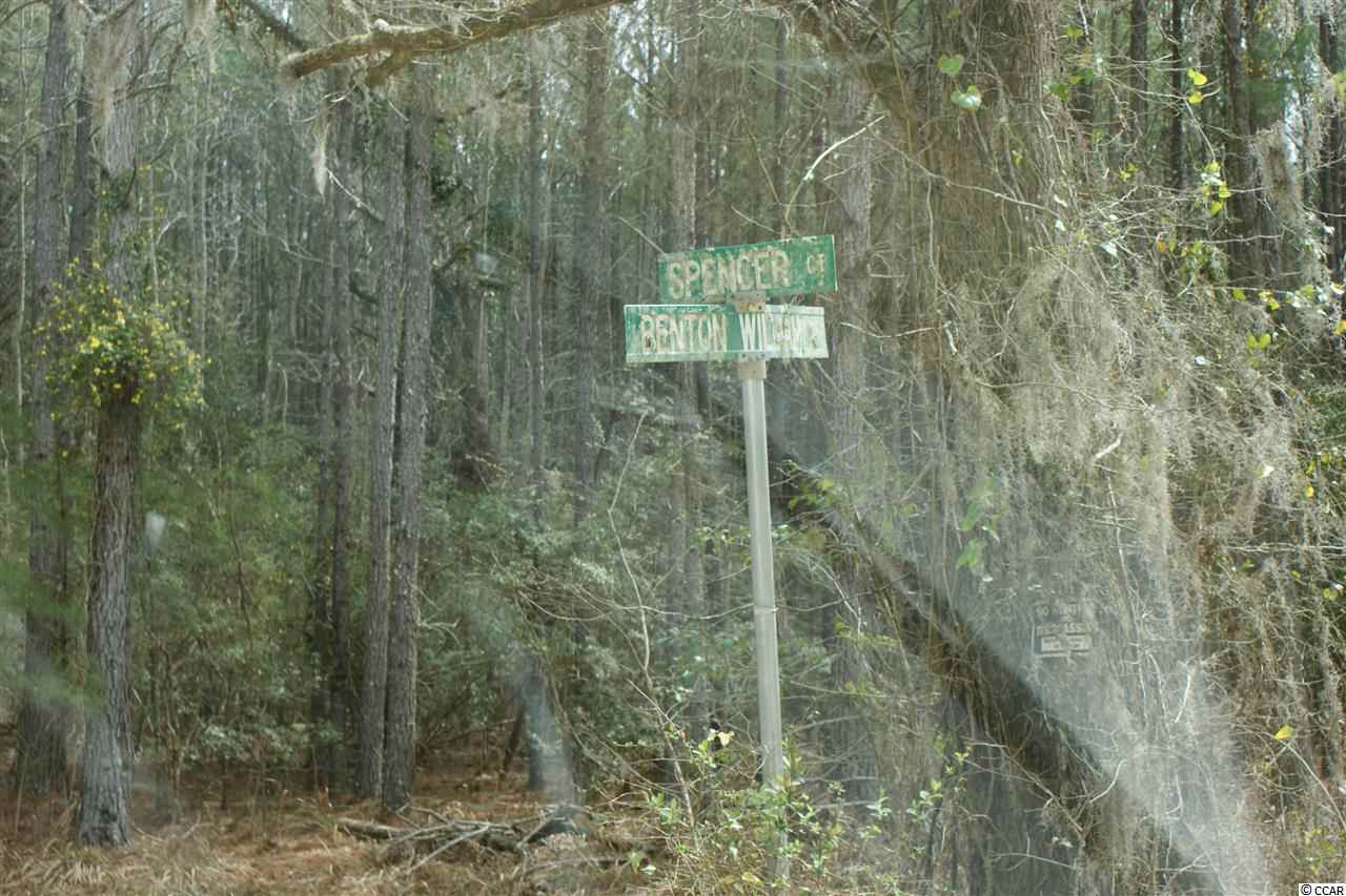 184.60-acres Benton Williams Road Georgetown, SC 29440 - Photo 13 of 14