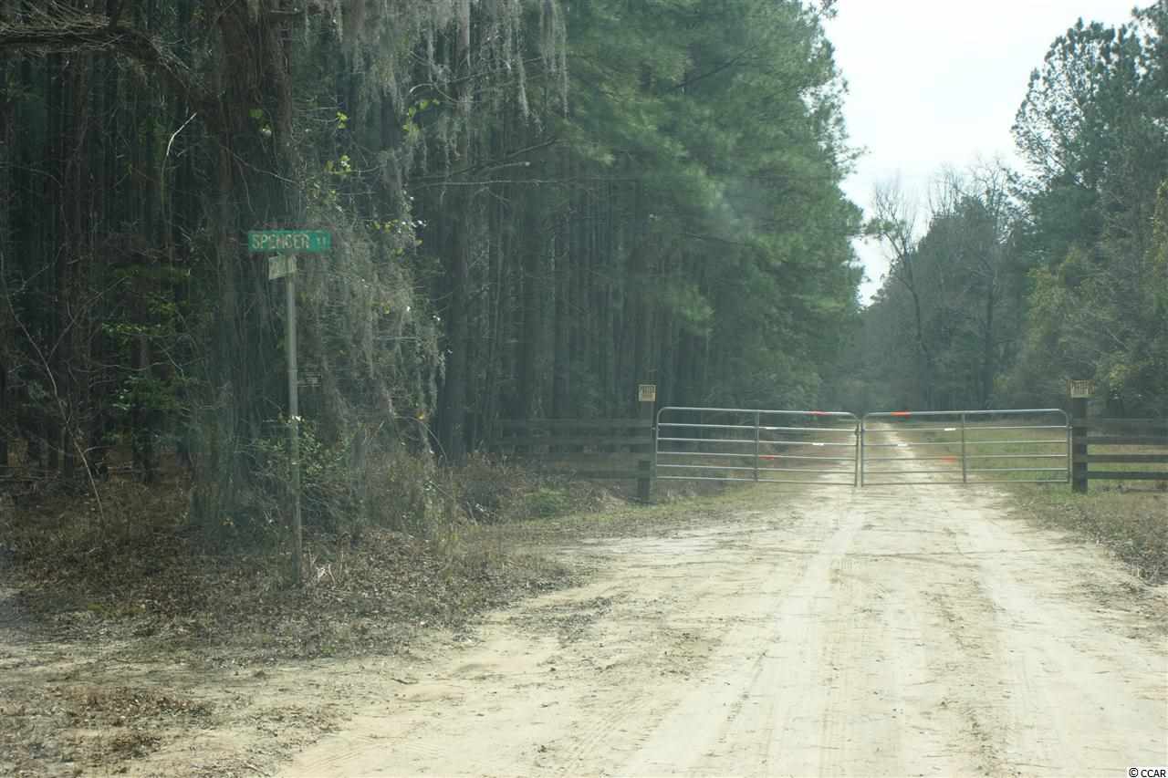 184.60-acres Benton Williams Road Georgetown, SC 29440 - Photo 14 of 14