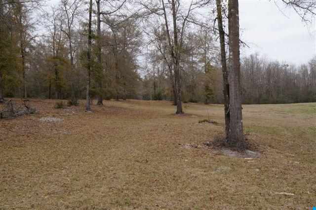 184.60-acres Benton Williams Road Georgetown, SC 29440 - Photo 4 of 14