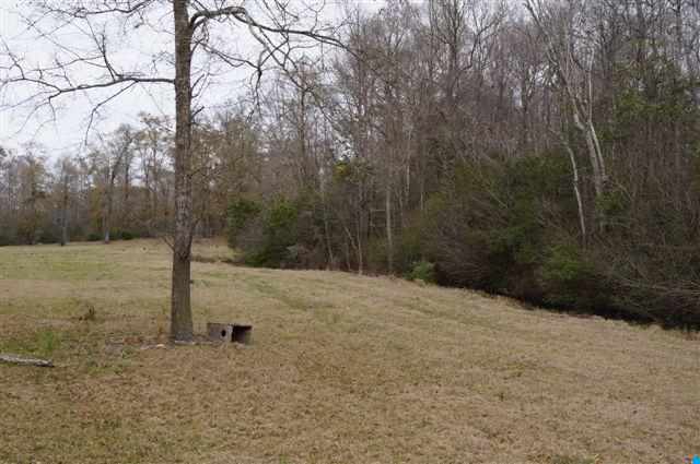 184.60-acres Benton Williams Road Georgetown, SC 29440 - Photo 5 of 14