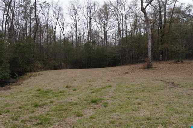 184.60-acres Benton Williams Road Georgetown, SC 29440 - Photo 6 of 14