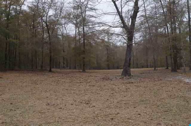 184.60-acres Benton Williams Road Georgetown, SC 29440 - Photo 8 of 14