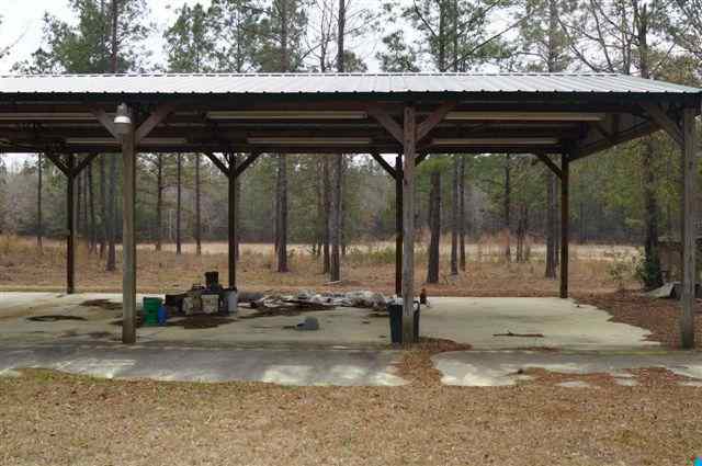 184.60-acres Benton Williams Road Georgetown, SC 29440 - Photo 10 of 14